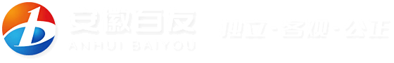 安徽百友集团